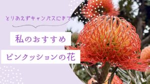 「どこでも成功を」
